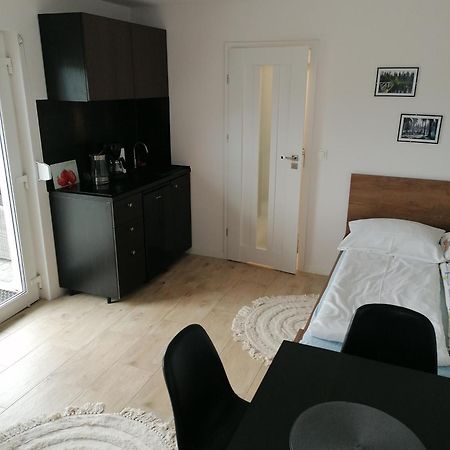 Apartament U Przewodnika Sudeckiego 두슈니키 즈드로지 외부 사진