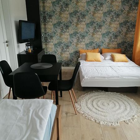 Apartament U Przewodnika Sudeckiego 두슈니키 즈드로지 외부 사진