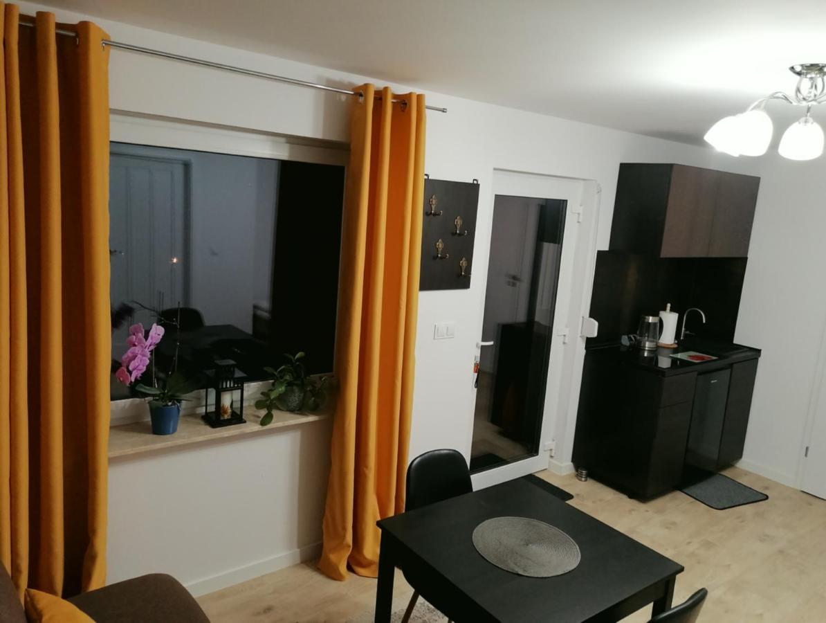 Apartament U Przewodnika Sudeckiego 두슈니키 즈드로지 외부 사진
