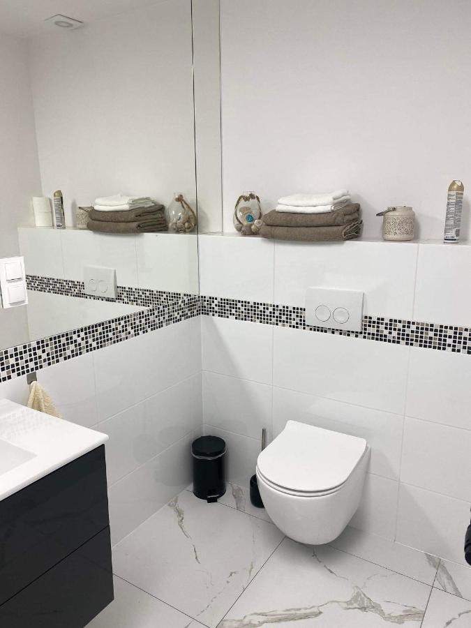 Apartament U Przewodnika Sudeckiego 두슈니키 즈드로지 외부 사진