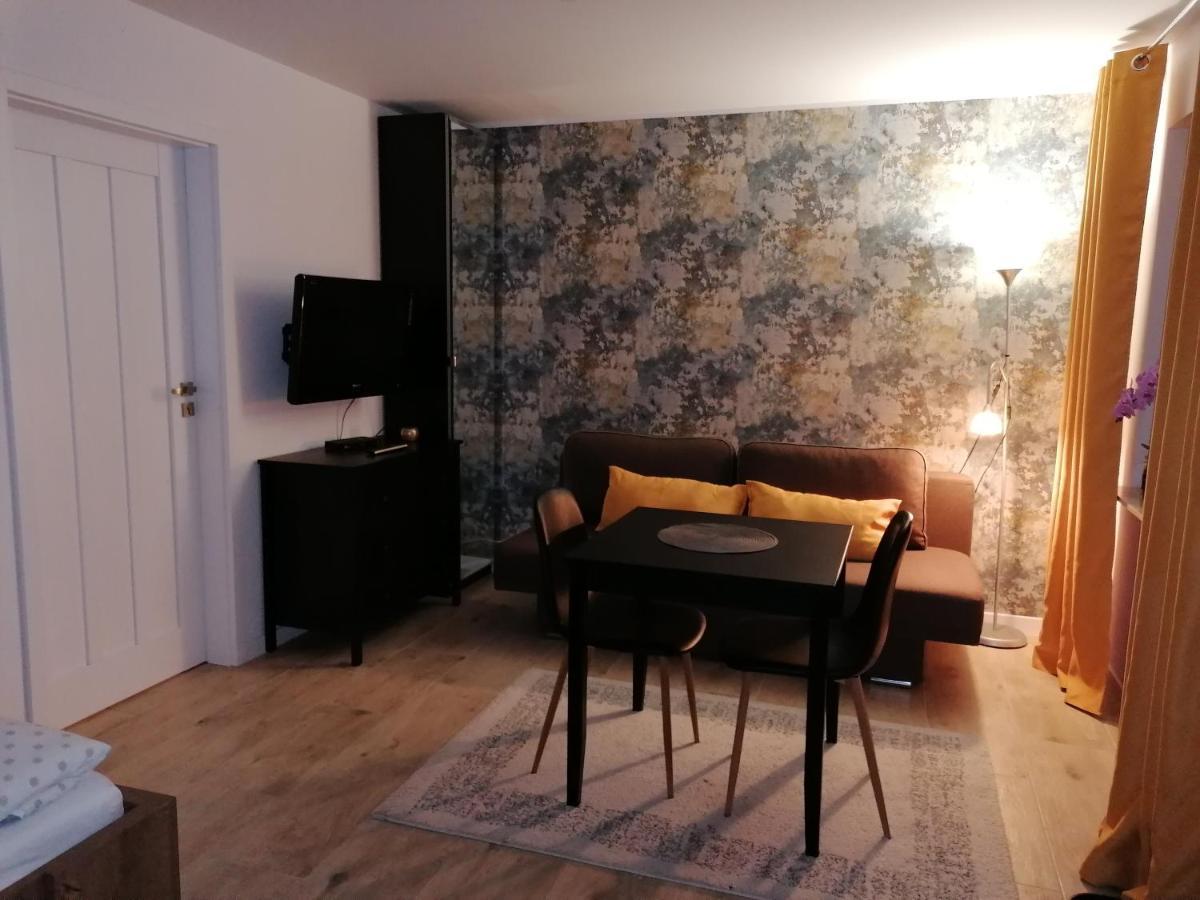 Apartament U Przewodnika Sudeckiego 두슈니키 즈드로지 외부 사진